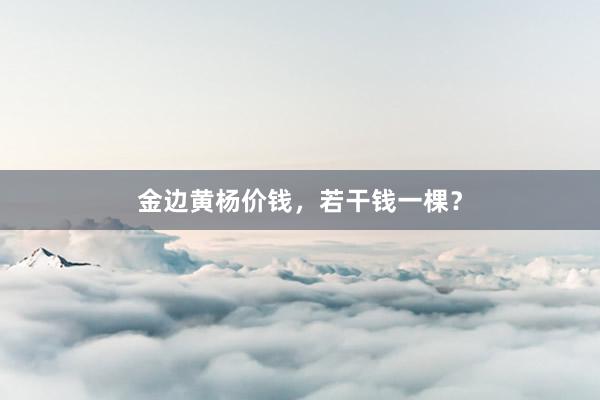 金边黄杨价钱，若干钱一棵？