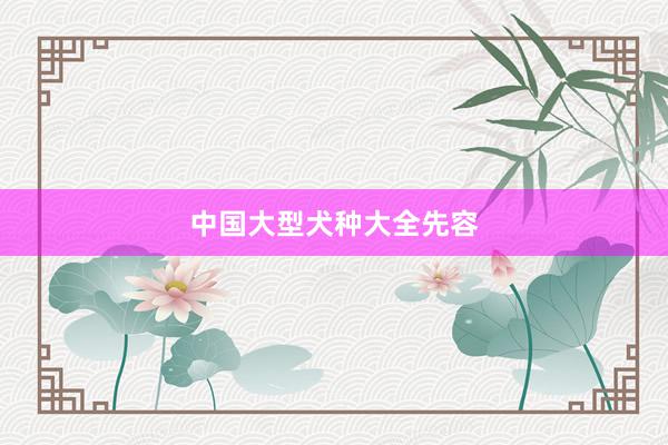 中国大型犬种大全先容
