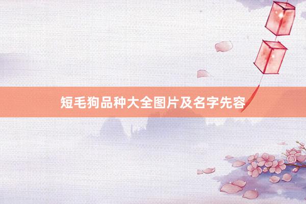 短毛狗品种大全图片及名字先容
